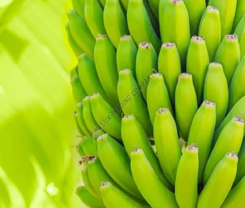 A Grade Fresh Green Banana