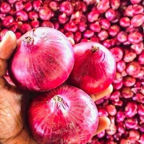 A Grade Red Onion A Grade Red Onion