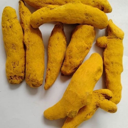 Yellow Turmeric Finger