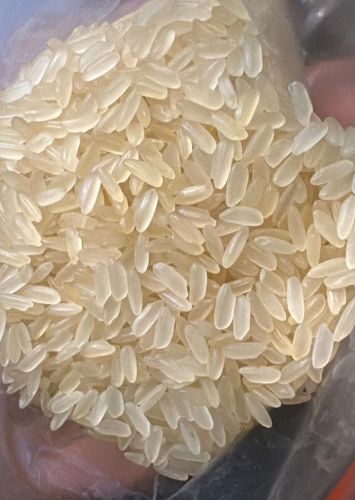 Sona Masoori Raw Rice