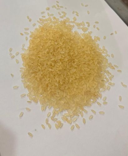 Sona Masoori Steam Rice