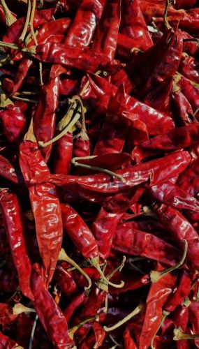 Teja S17 Dry Red Chilli with Stem