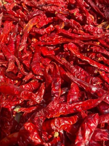 Teja S17 Dry Red Chilli without Stem