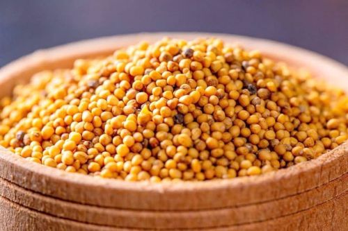 Yellow Natural Mustard Seeds
