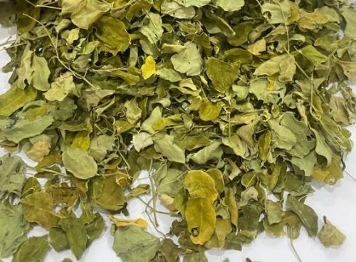 Moringa Dried Leaves