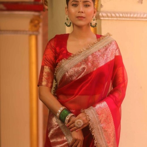 Red Banarasi Tissue Silk Saree