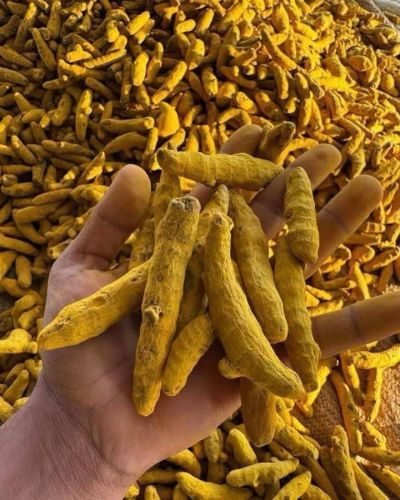 Organic Dried Turmeric Finger