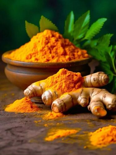 Organic Turmeric Powder