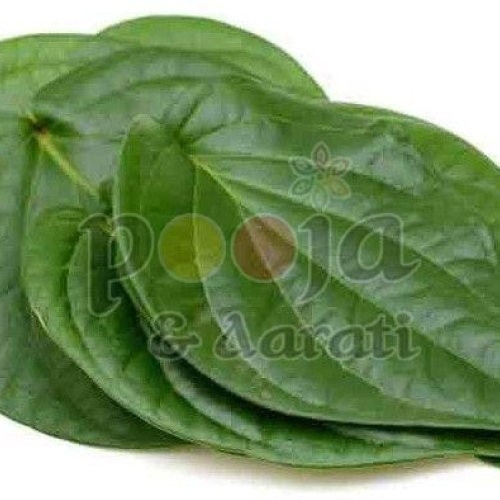 Fresh Ritual Offering Betel Leaves