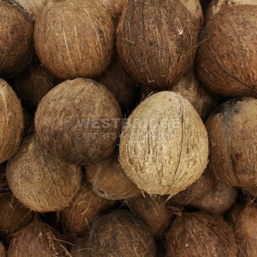 Fully Husked Coconuts