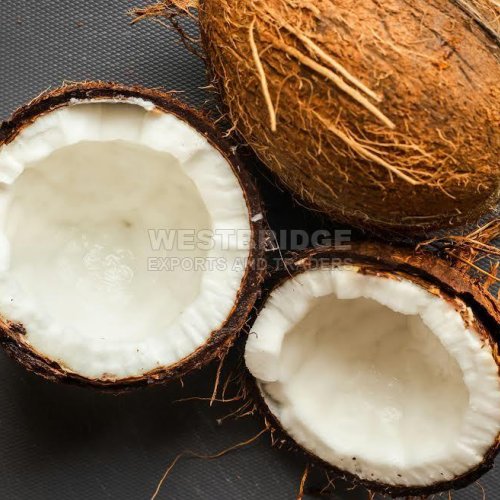 Semi Husked Coconuts