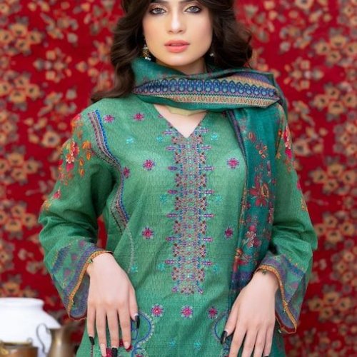 Ladies Embroidered Ethnic Salwar Suit Set