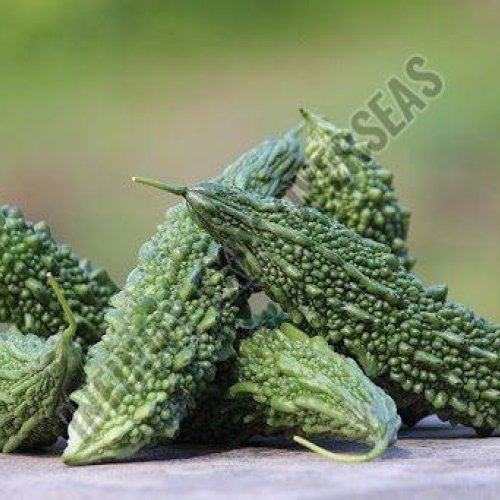 Bitter Gourd