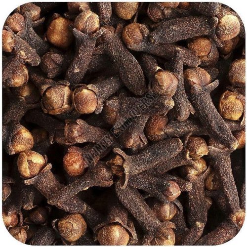 Clove Seeds