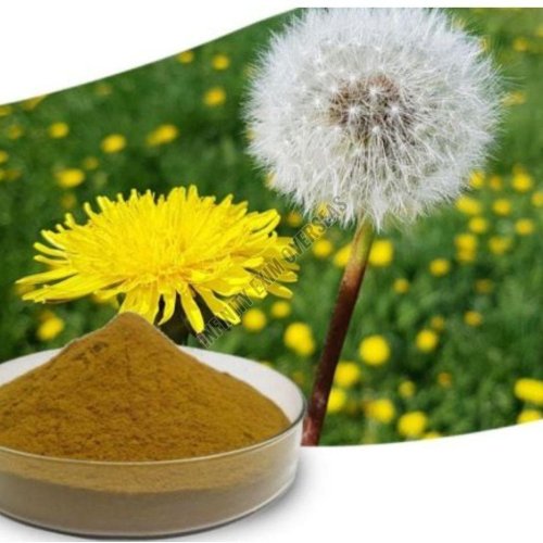 Dandelion Leaves Powder