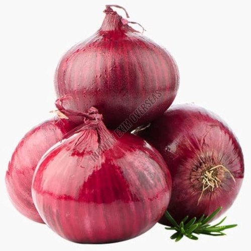 Fresh Red Onion