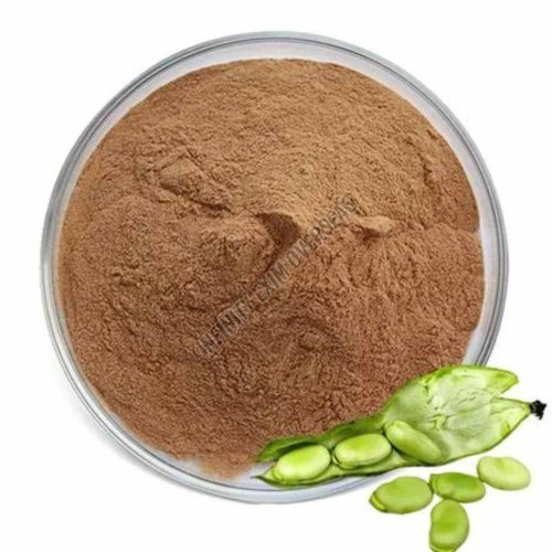 Natural Green Fresh Broad Bean Powder