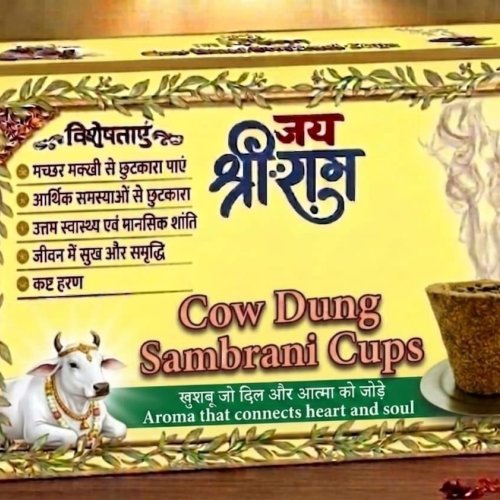 Shree RAM Sambrani Cup