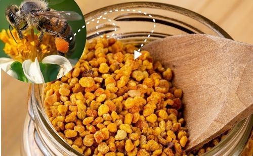 Yellow Bee Pollen Granules