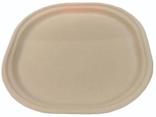 10 Inch Bagasse Disposable Plate