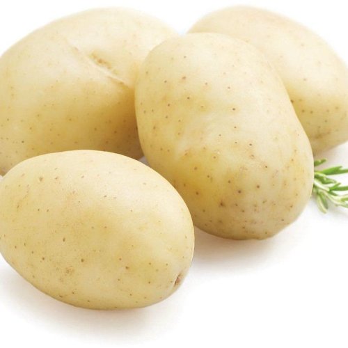Fresh White Potato