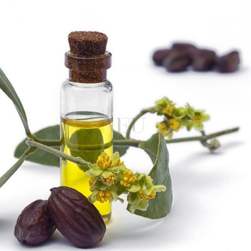 Cold Pressed Jojoba Seed Oil