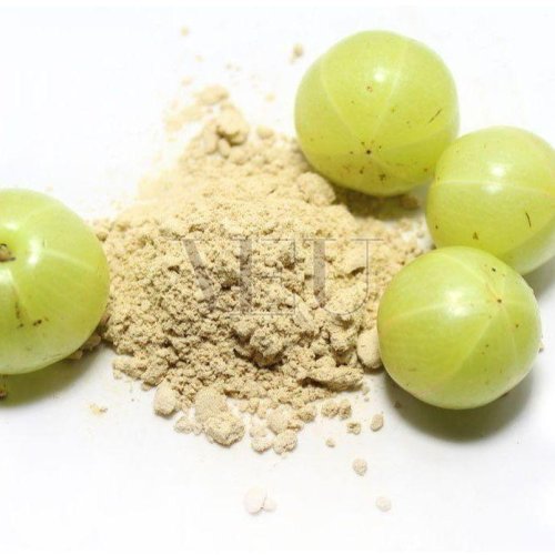 Organic Bhoomi Amla Powder