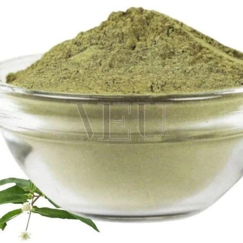 Organic Bhringraj Powder