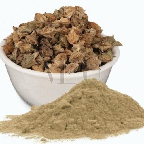 Organic Gokhru Powder