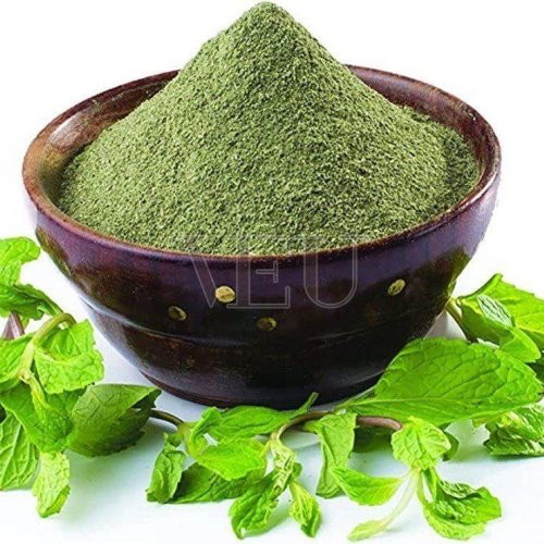 Organic Mint Leaves Powder