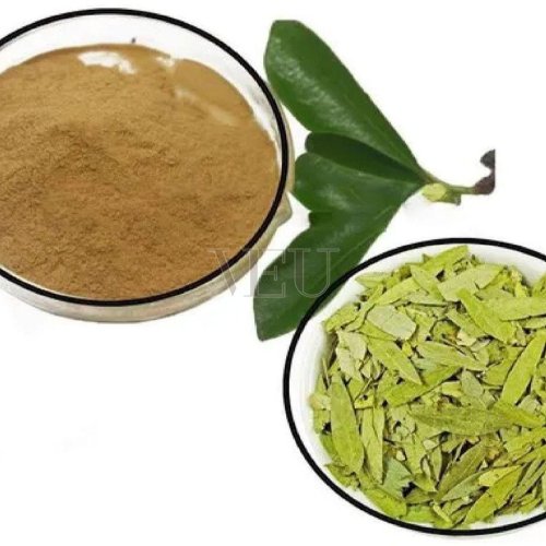 Organic Senna Leaves Powder