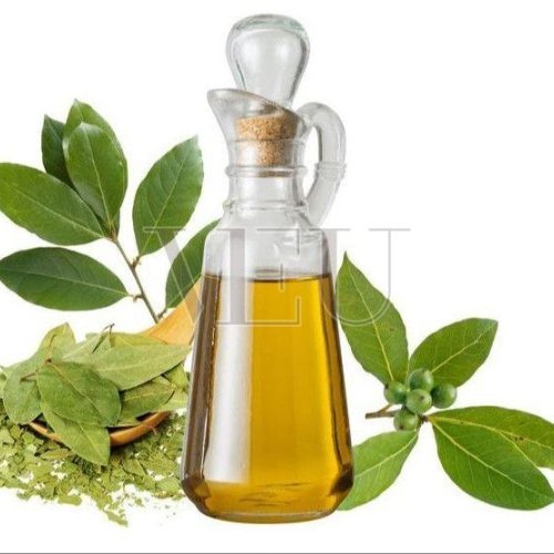 Pure Bay Leaf Essential Oil