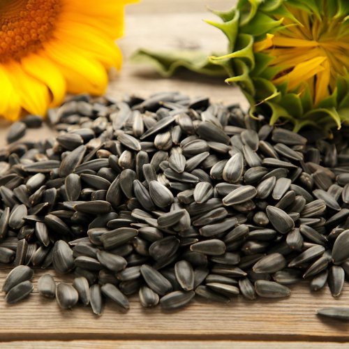 Organic Sunflower Seeds
