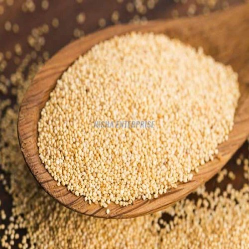 A Grade White Poppy Seeds