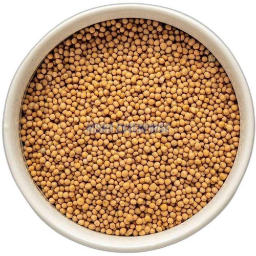 Yellow Mustard Seeds