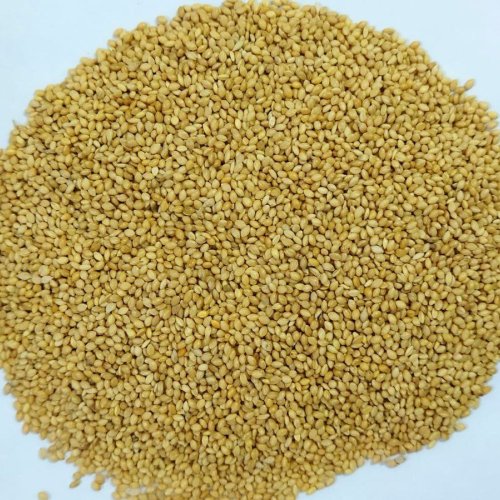 Natural Foxtail Millet Seeds