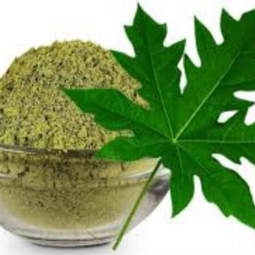 Papaya Leaf Powder