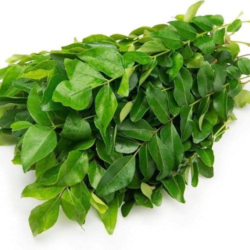 Fresh Curry Leaves