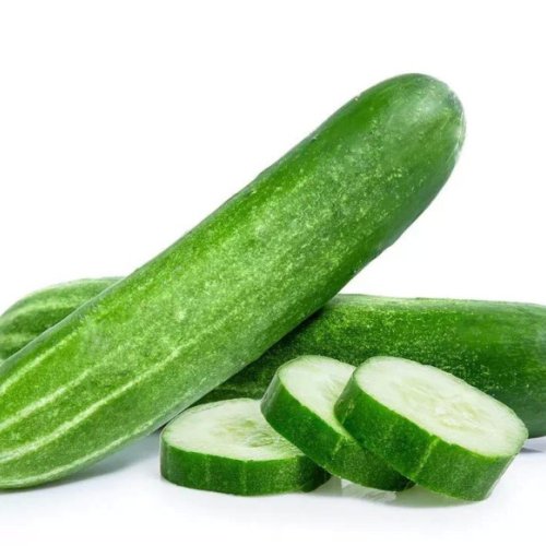 Fresh Organic Cucumber