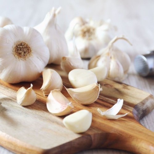Fresh Organic Garlic