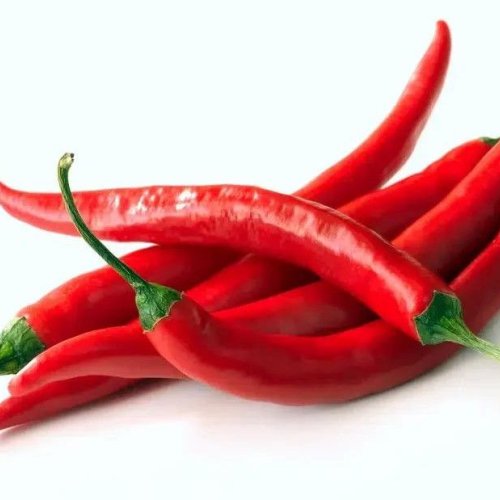 Fresh Red Chilli