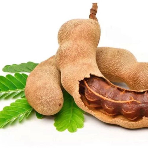 Fresh Tangy Tamarind