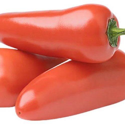 Indian Fresh Red Chilli