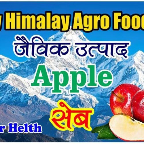A Grade Himalayan Apple
