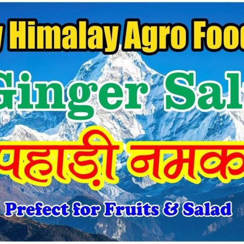 Ginger Pahadi Salt