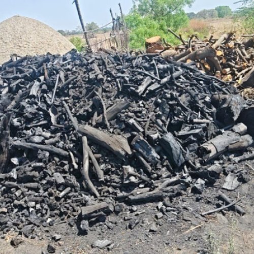 Hard Wood Charcoal