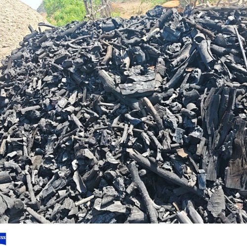 Wood Charcoal