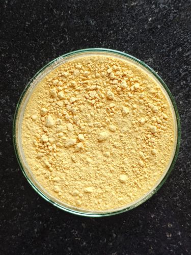 40% DHA Protein Powder