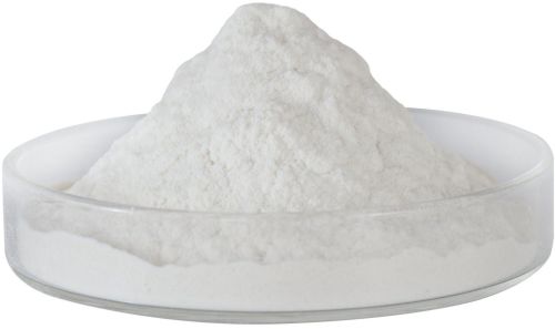 L Carnosine Powder