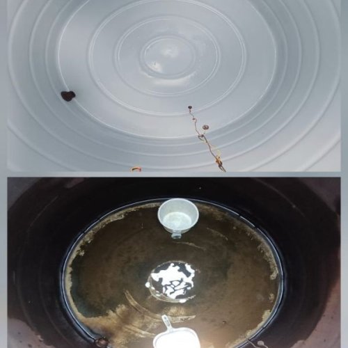 Commercial Water Tank Cleaning Services